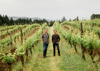 Side panel images 3[1][2]